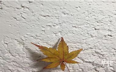 新婚姻法离婚财产分割